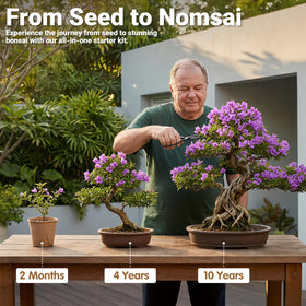 JELHFIP Gift-ready bonsai kit makes a thoughtful plant gift.