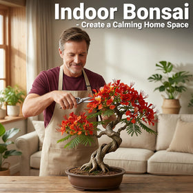 JELHFIP Tools and Planters kit supports easy care routines.