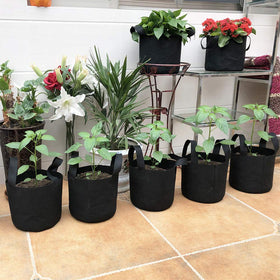 JERIA 12 plant labels included for easy garden organization.