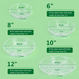 JERIA 6-inch clear plant saucer side view shows raised edge for drip containment.