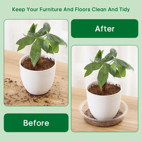 JERIA 6-inch clear plant saucer with pots demonstrates sturdy, reusable drip tray.