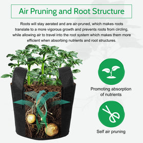 JERIA accommodates seasonal temperature changes, keeping roots comfortable year-round.