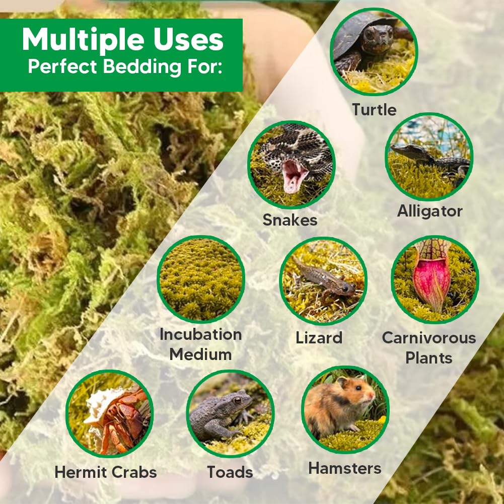 Jerwtlu aquascape moss substrate for lush underwater plants