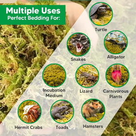 Jerwtlu aquascape moss substrate for lush underwater plants