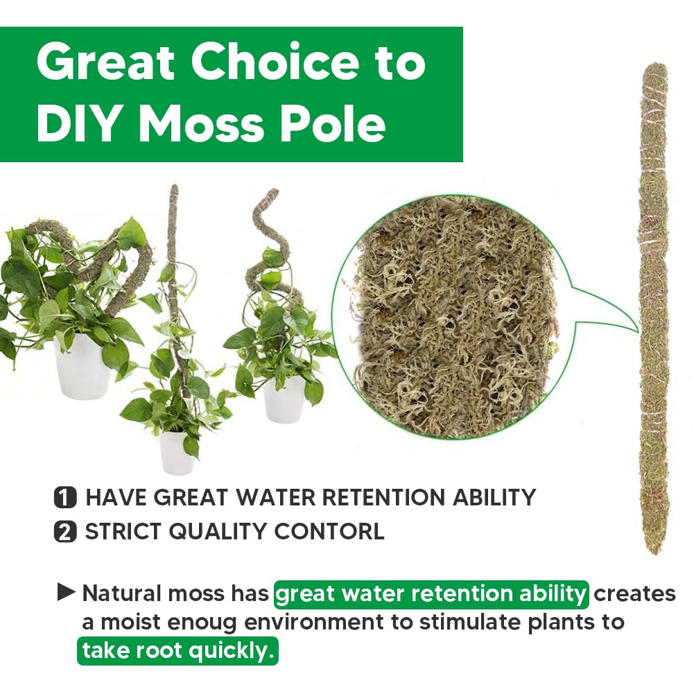 Jerwtlu climbing vine moss pole for hanging setups