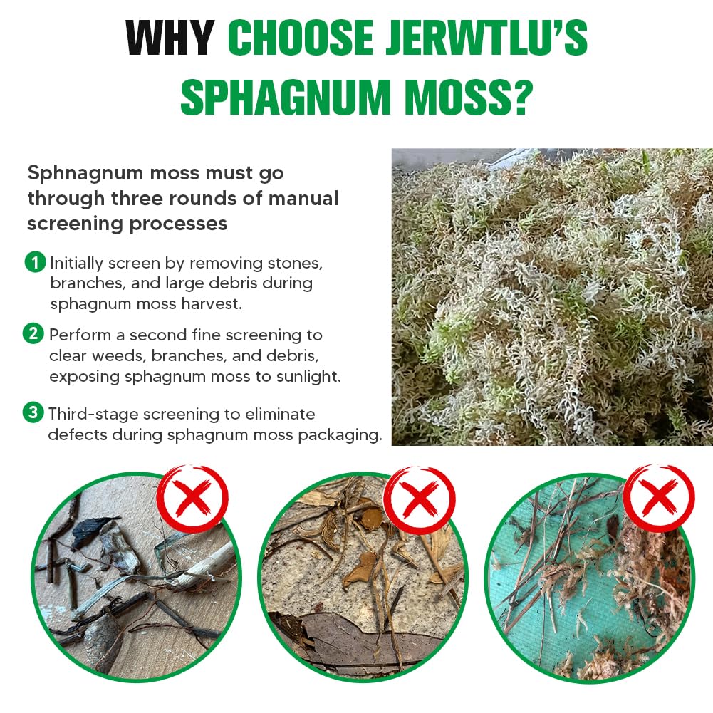 Jerwtlu terrarium moss maintains humidity for reptiles and isopods