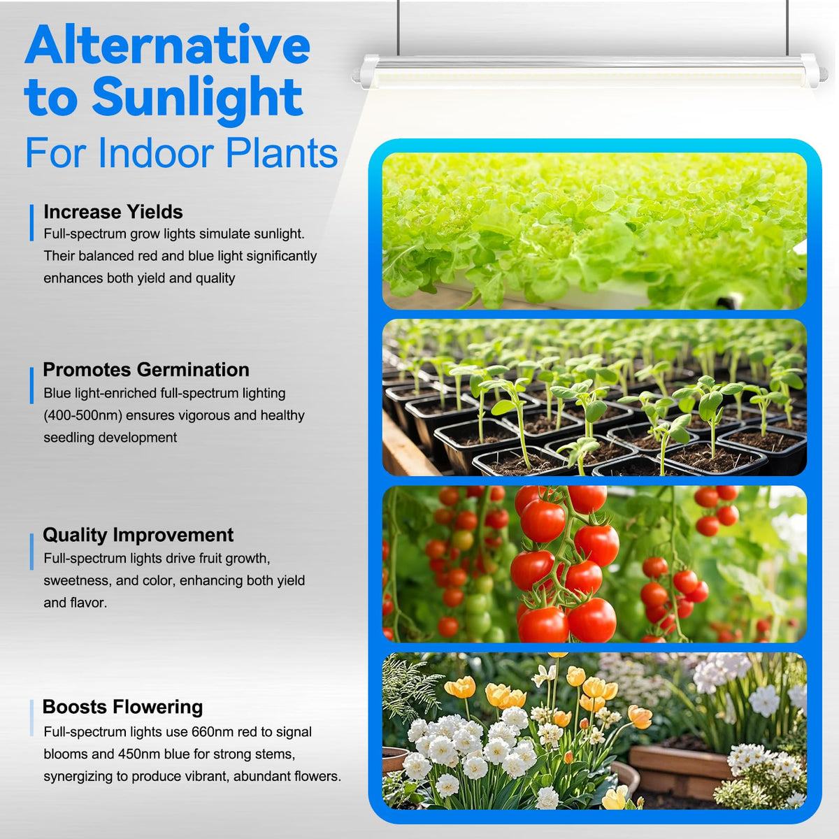 JESLED easy installation with hanging or surface mount, plug-and-play convenience.