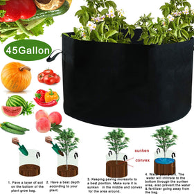 JES&MEDIS air-prune fabric prevents root tangling for vigorous growth.