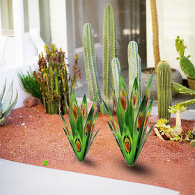 Jesokiibo Tequila rustic agave indoor-outdoor decor accent for versatile spaces.