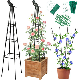 Jesosia Garden Trellis assembly in seconds providing climbing plant support.