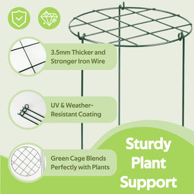 Jesosia ground stake adds stable soil insertion for sturdy garden cages