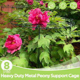 Jesosia growth-through plant frame with three legs anchors plants securely