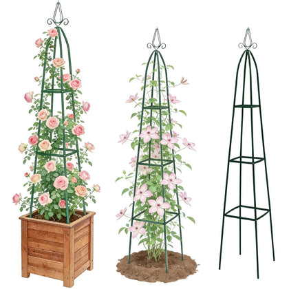 Jesosia metal obelisk trellis provides tall vertical support for climbing plants.
