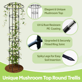 Jesosia obelisk metal frame shows sturdy rustproof coating for lasting outdoor use.