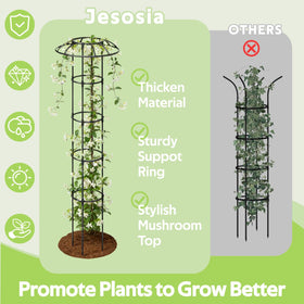 Jesosia 65-inch tall trellis supports roses, tomatoes, and vines with strong, reliable support.