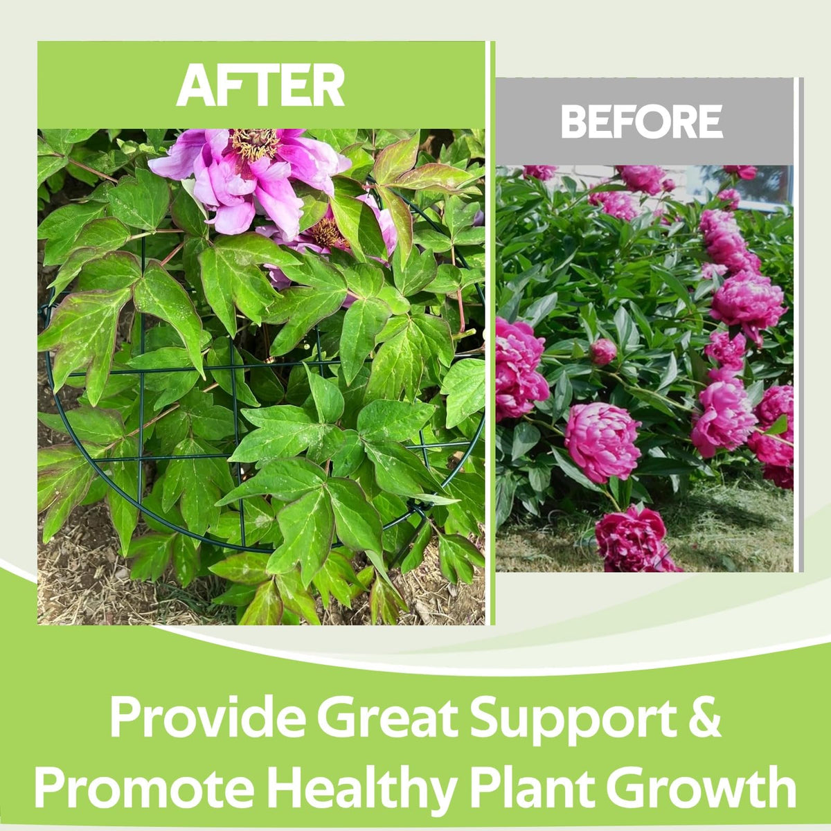 Jesosia twist ties help guide stems for neat, supported growth