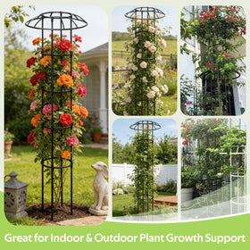 Jesosia versatile plant support suitable for roses, beans, ivy, and vegetables.