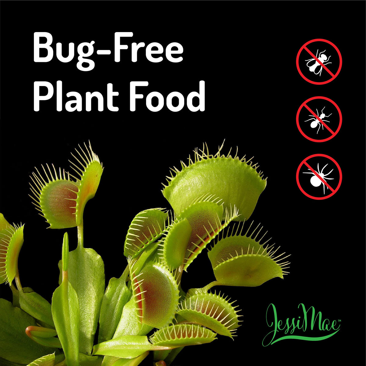Jessi Mae liquid formulation for easy indoor carnivorous plant nutrition.
