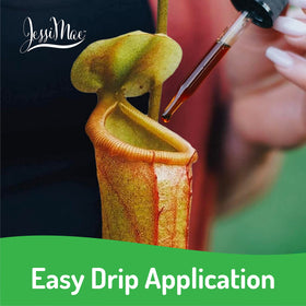 Jessi Mae bottle applying liquid to pitcher plant leaves.