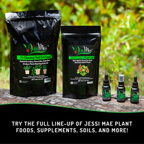 Jessi Mae seaweed and blood meal blend supports nutrient-rich feeding.