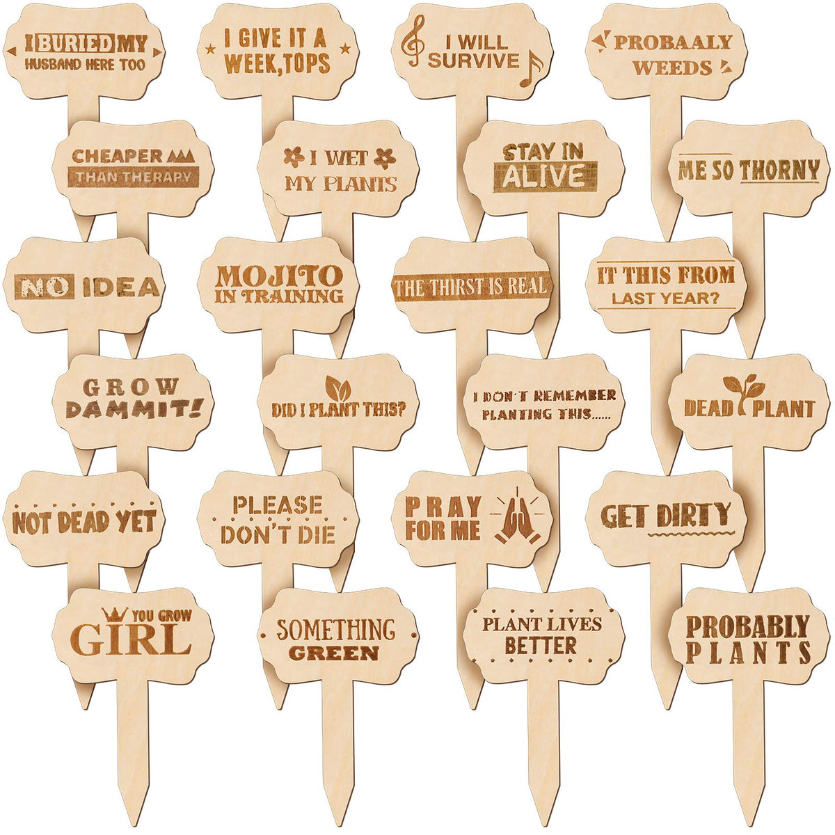 Jetec wooden plant stakes with funny words for succulents and flowers.
