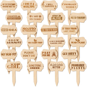 Jetec wooden plant stakes with funny words for succulents and flowers.