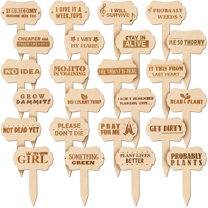 Jetec wooden plant stakes with funny words for succulents and flowers.