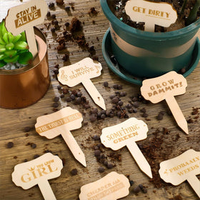 Jetec natural wood labels for pots and garden beds.