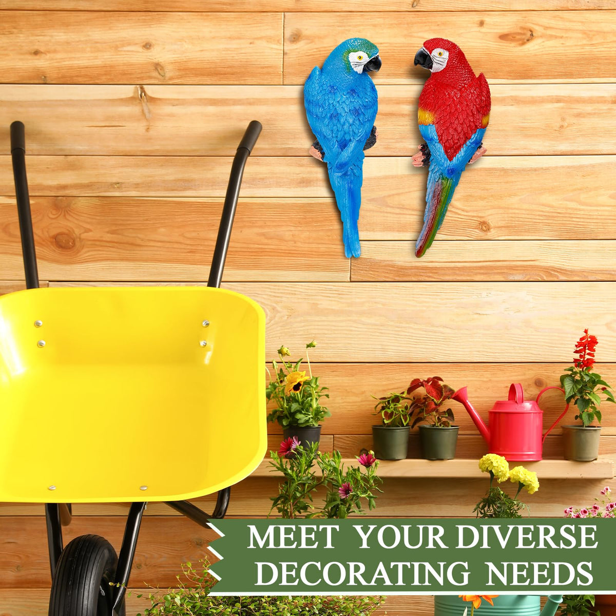 Jetec parrot red texture detail highlights craft