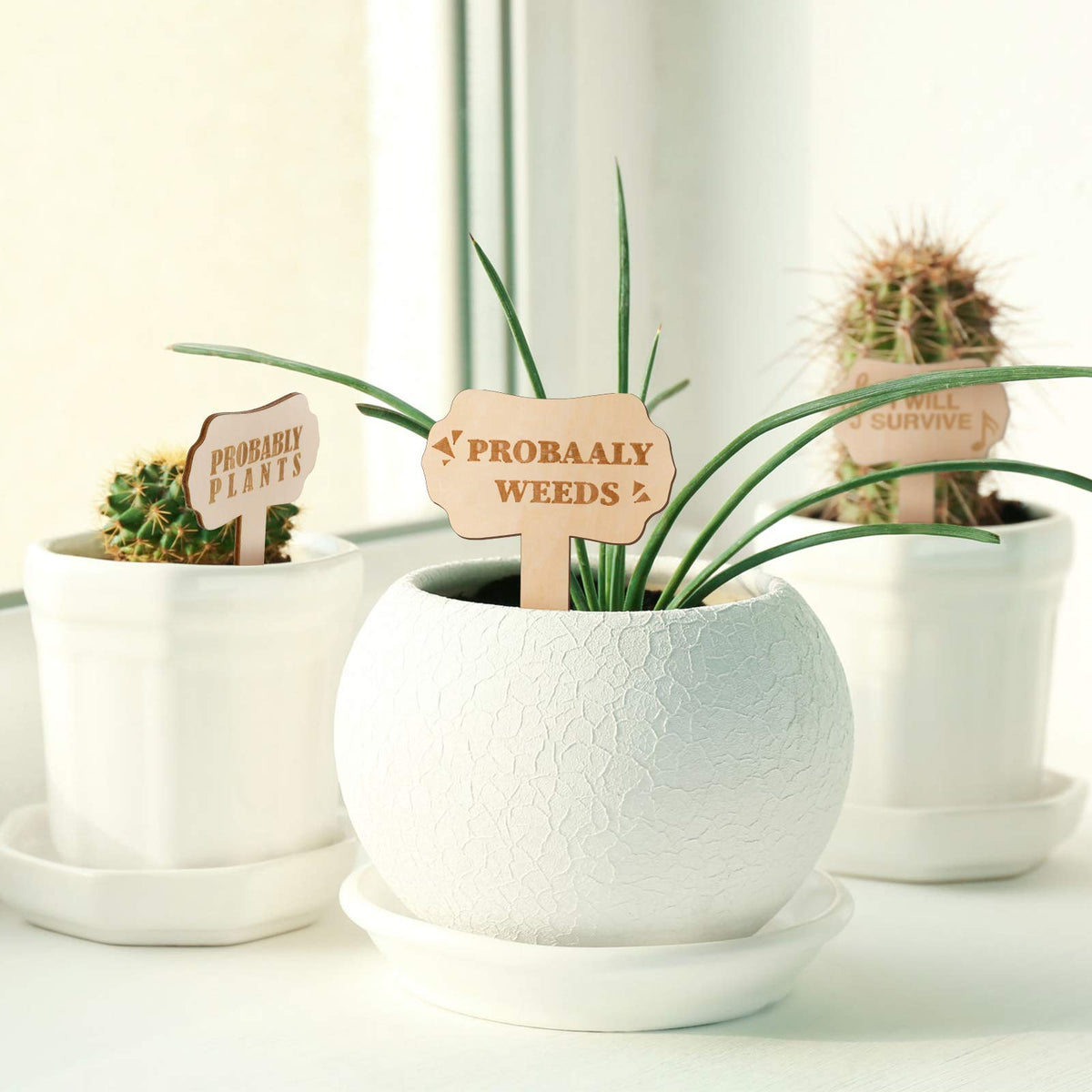 Jetec tidy wooden plant labels blending with plants and decor.