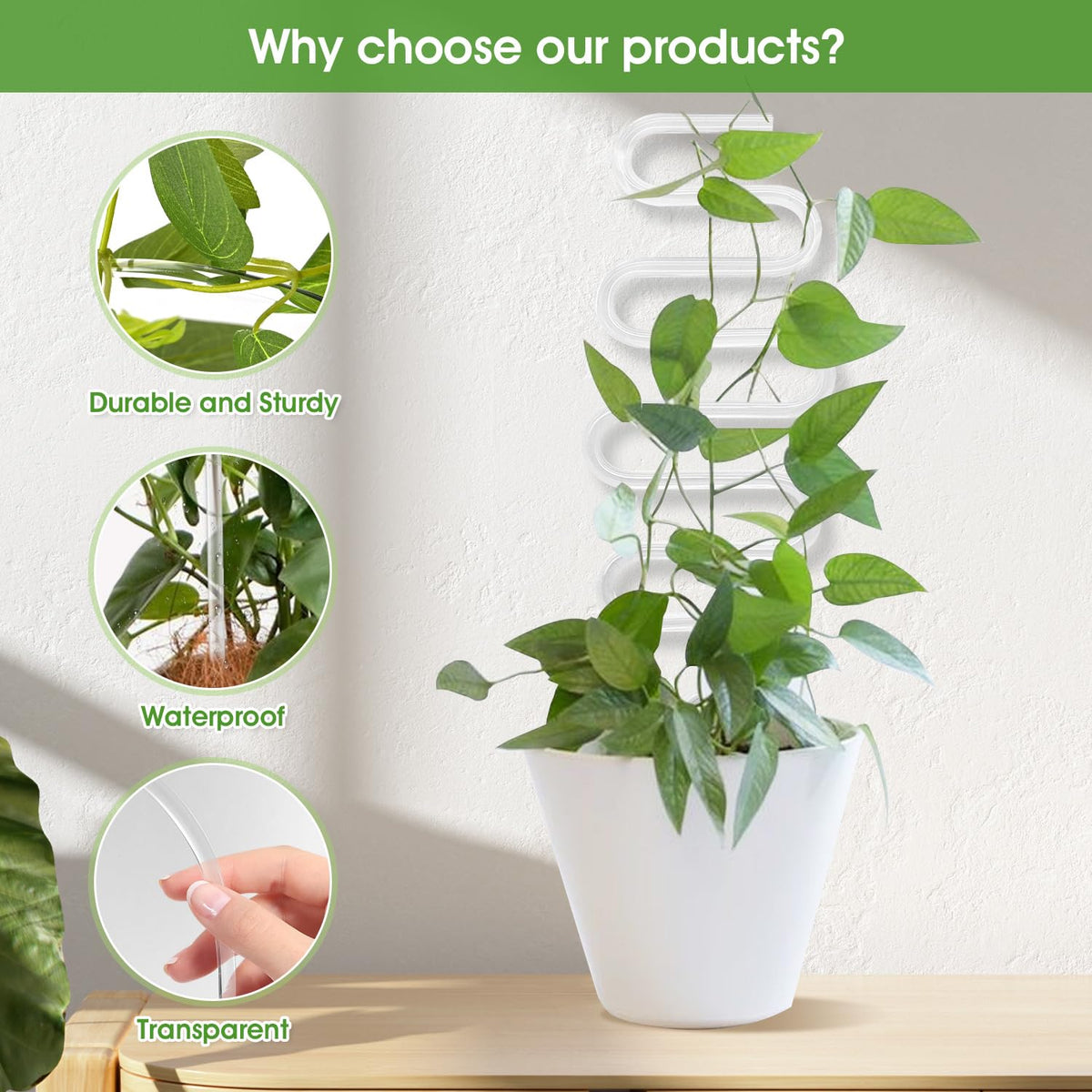 JETTIFY two-pack 13-inch plant stakes with a sleek clear design