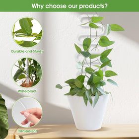 JETTIFY two-pack 13-inch plant stakes with a sleek clear design