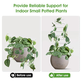 JETTIFY clear trellis blends with decor while guiding plant growth