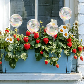 Jgalnim rainbow gradient globe inserted in soil enables easy adjustable watering.