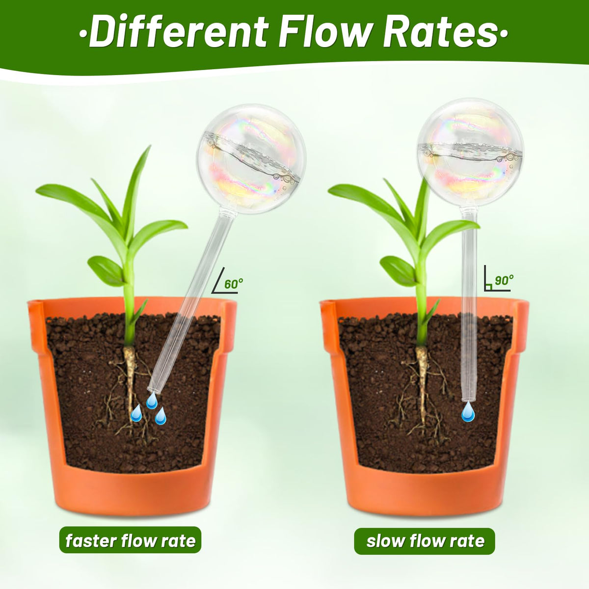 Jgalnim self-watering glass globes make a thoughtful plant gift.