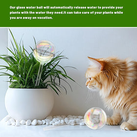 Jgalnim two-pack watering globes suitable for hanging planters.