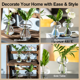 JGKYLDZ clear glass propagation vase with crystal-clear viewing of roots