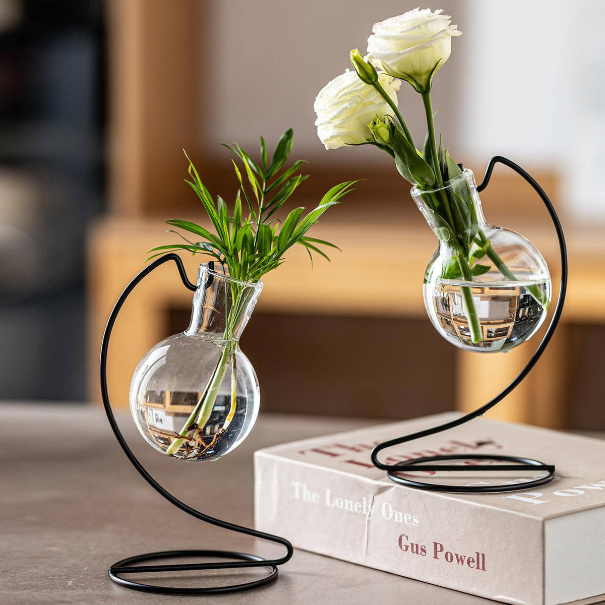 JGKYLDZ hydroponics propagation vase suited for pothos, ferns, and lucky bamboo