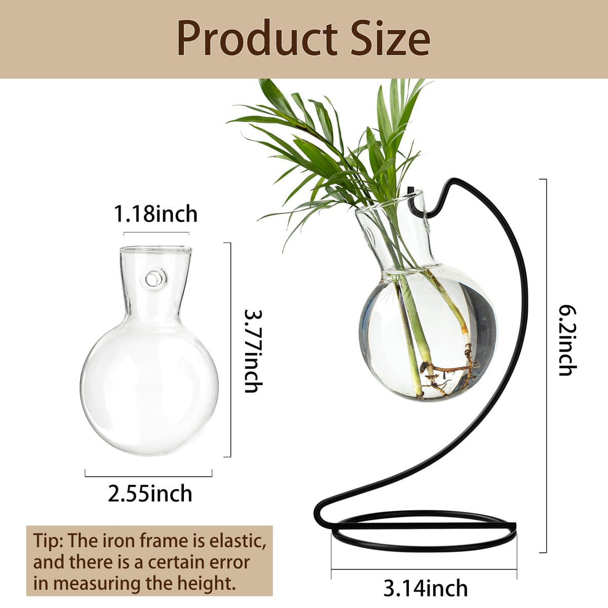 JGKYLDZ metal-stand propagation vase showcasing root growth in natural light