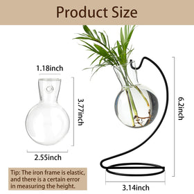JGKYLDZ metal-stand propagation vase showcasing root growth in natural light