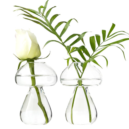 JGKYLDZ mushroom glass planter shown as a propagation tool and decorative vase on a desk