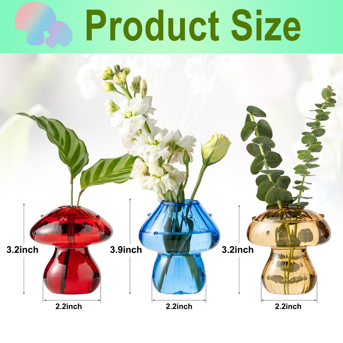 JGKYLDZ mushroom vases with clear glass for easy root monitoring and viewing.