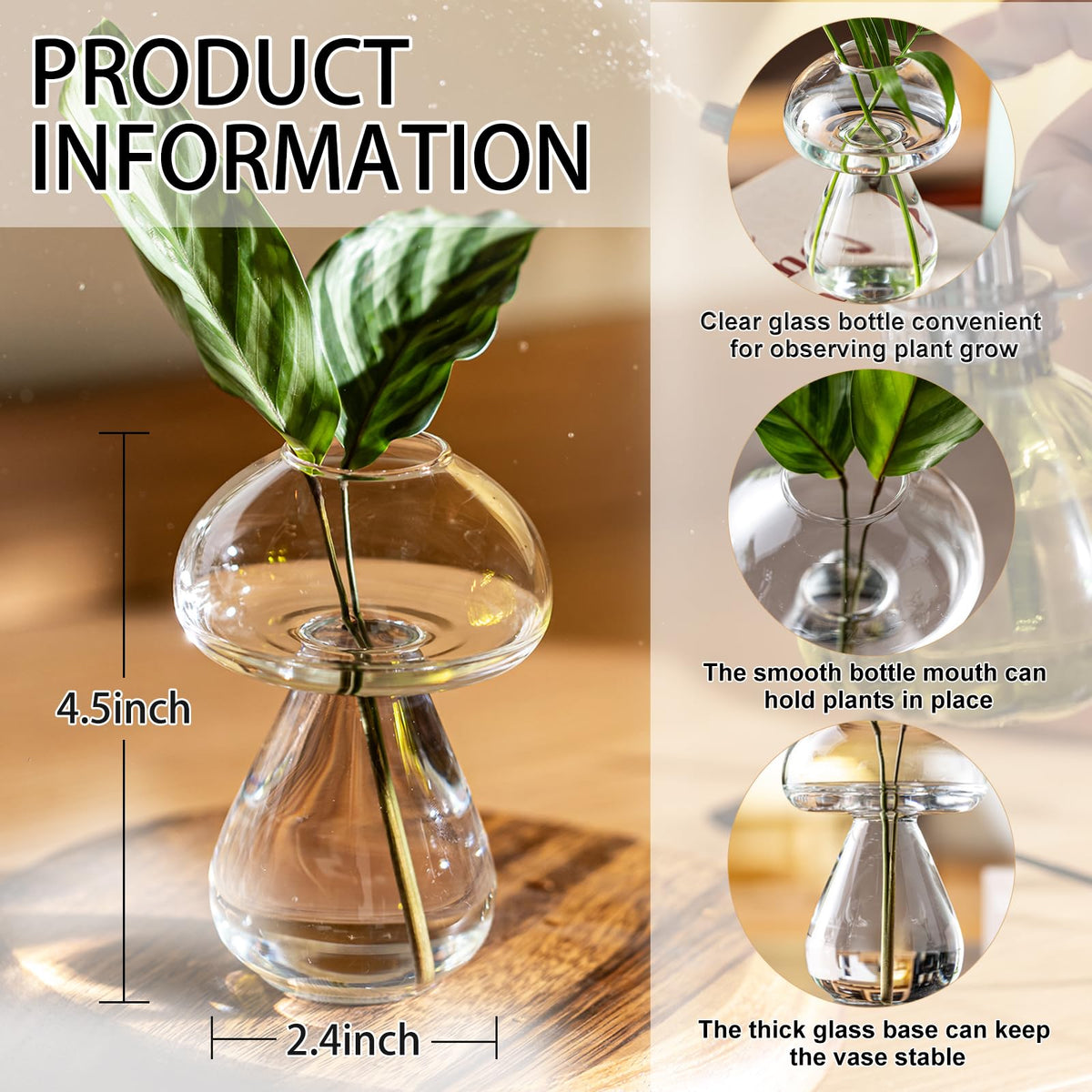 JGKYLDZ propagation station in glass for easy hydroponic cuttings