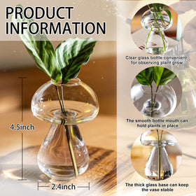 JGKYLDZ propagation station in glass for easy hydroponic cuttings