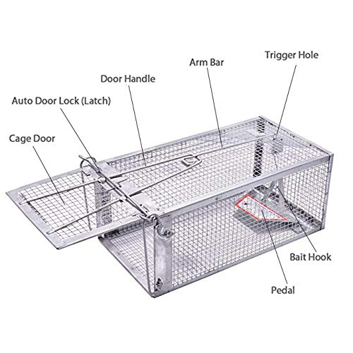 JGRZF Quality Rat Trap bait placement demonstrates simple lure setup for catching.