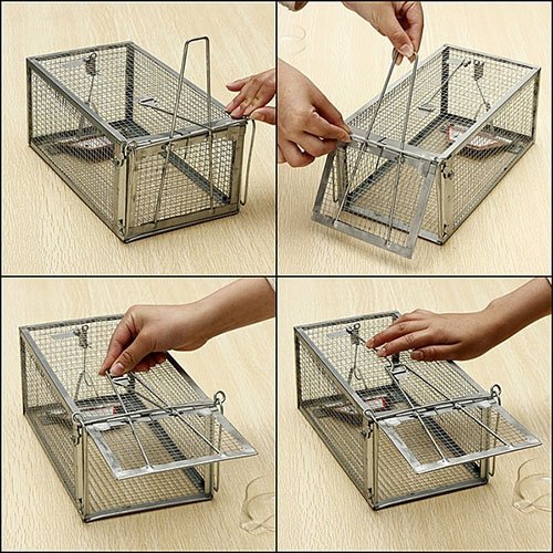 JGRZF Quality Rat Trap compact design for indoor or outdoor use.