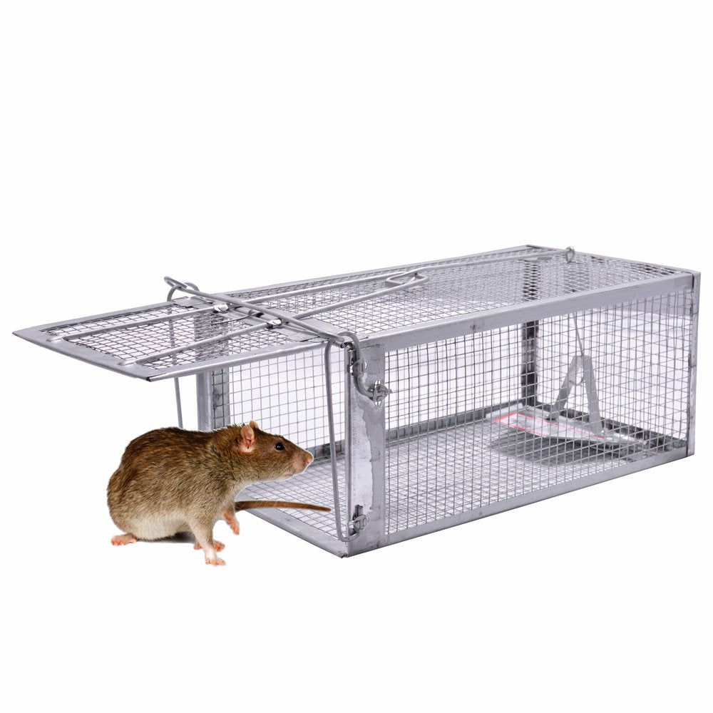 JGRZF Quality Rat Trap inside view shows humane live capture for safe handling.
