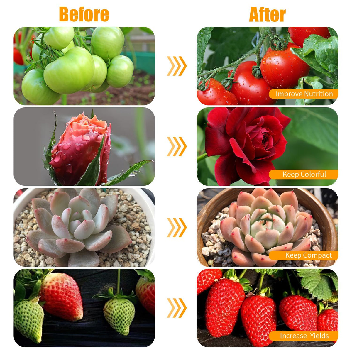 JhauvMw LED vegetative mode ideal for leafy greens and herbs