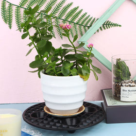 JiaUfmi round plant holder with five feet distributes weight for stability.