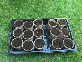 Jiffy POTS 2in biodegradable pots supporting healthy root growth.